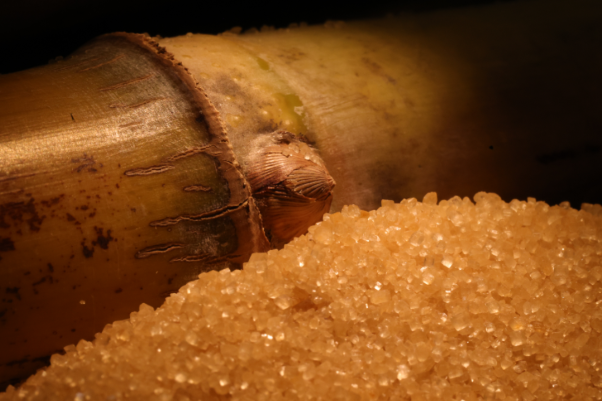 Design sem nome (5).png