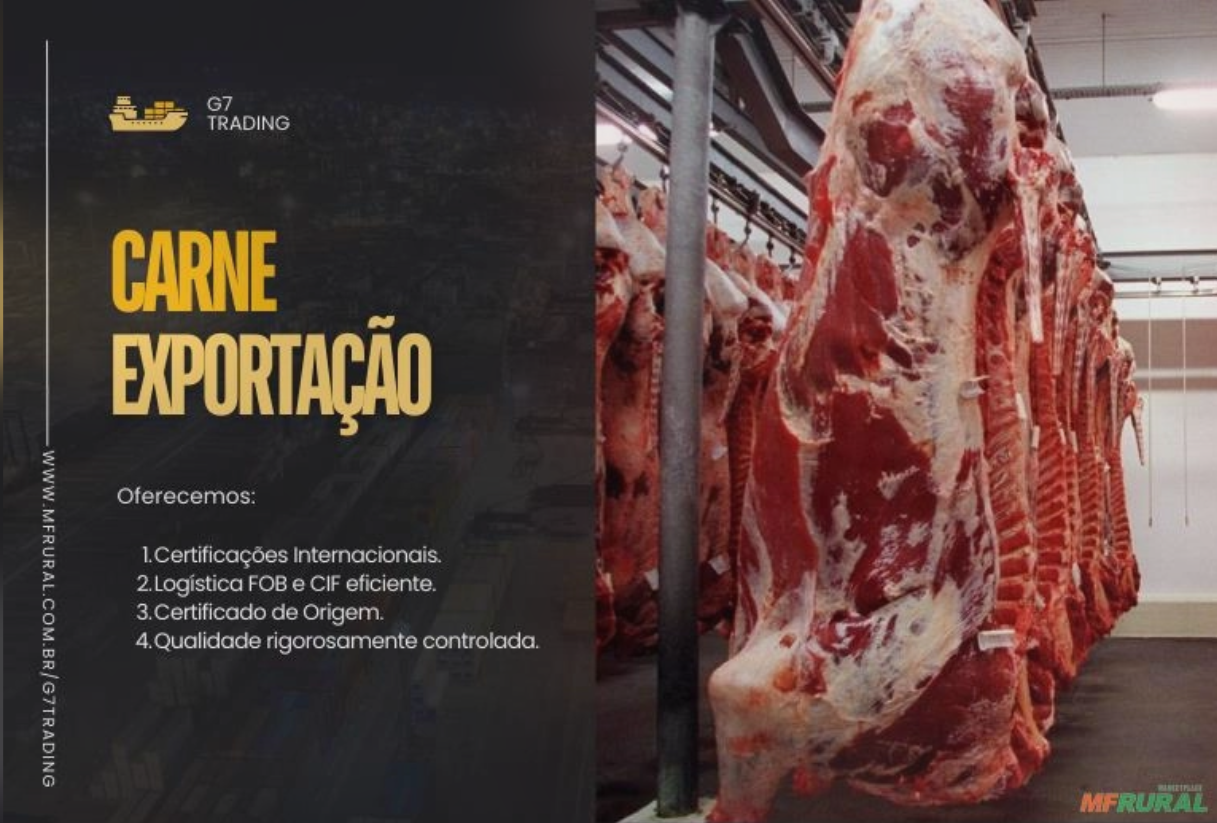 Captura de tela 2026-01-17 192641.png